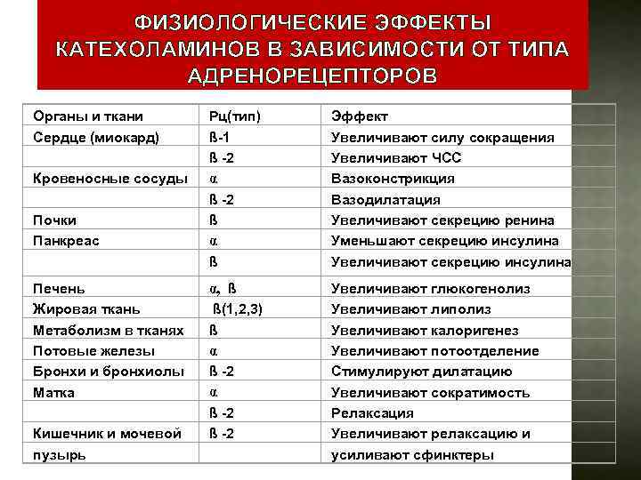 ФИЗИОЛОГИЧЕСКИЕ ЭФФЕКТЫ КАТЕХОЛАМИНОВ В ЗАВИСИМОСТИ ОТ ТИПА АДРЕНОРЕЦЕПТОРОВ Органы и ткани Сердце (миокард) Кровеносные