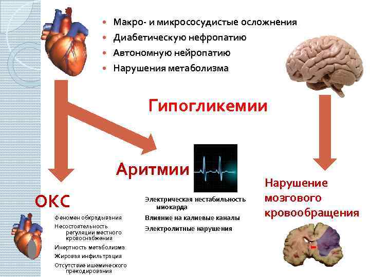  Макро- и микрососудистые осложнения Диабетическую нефропатию Автономную нейропатию Нарушения метаболизма Гипогликемии Аритмии ОКС