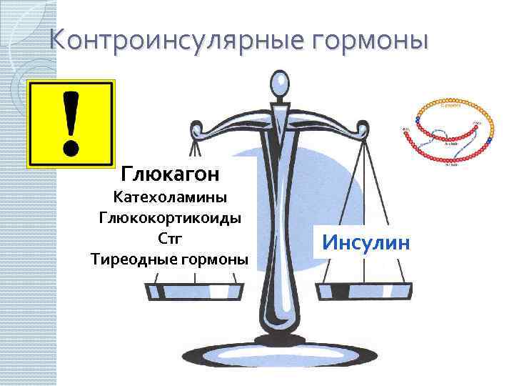 Контроинсулярные гормоны Глюкагон Катехоламины Глюкокортикоиды Стг Тиреодные гормоны Инсулин 