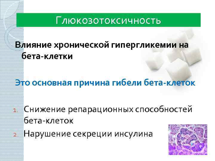 Глюкозотоксичность Влияние хронической гипергликемии на бета-клетки Это основная причина гибели бета-клеток Снижение репарационных способностей