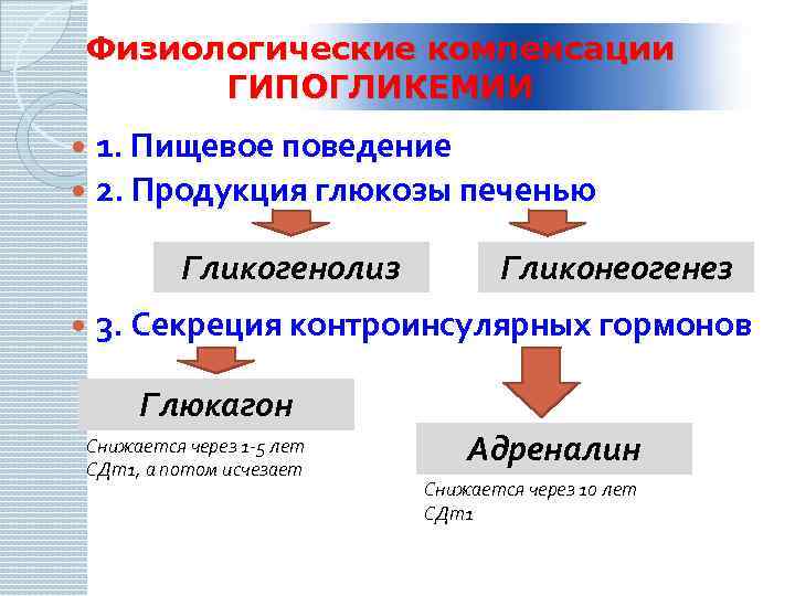 Физиологические компенсации ГИПОГЛИКЕМИИ 1. Пищевое поведение 2. Продукция глюкозы печенью Гликогенолиз Гликонеогенез 3. Секреция