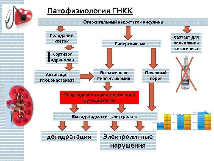  Патофизиология ГНКК Относительный недостаток инсулина Голодание клеток Гипергликемия Кортизол адренолин Активация глюконеогенеза Выраженная