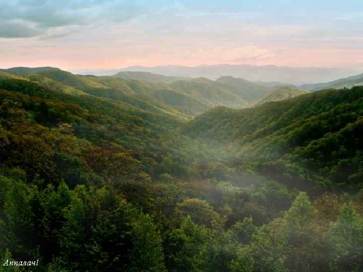 Аппалачі 