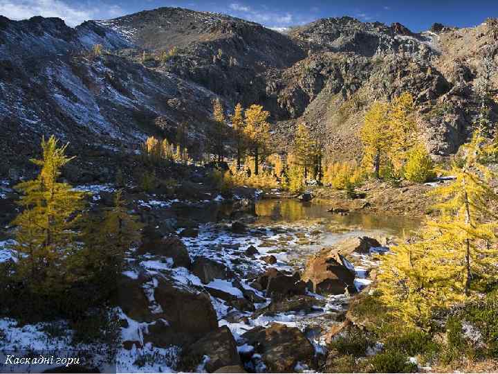 Каскадні гори 