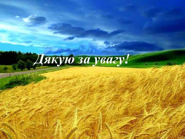 Дякую за увагу! 