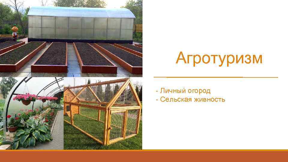 Агротуризм - Личный огород - Сельская живность 