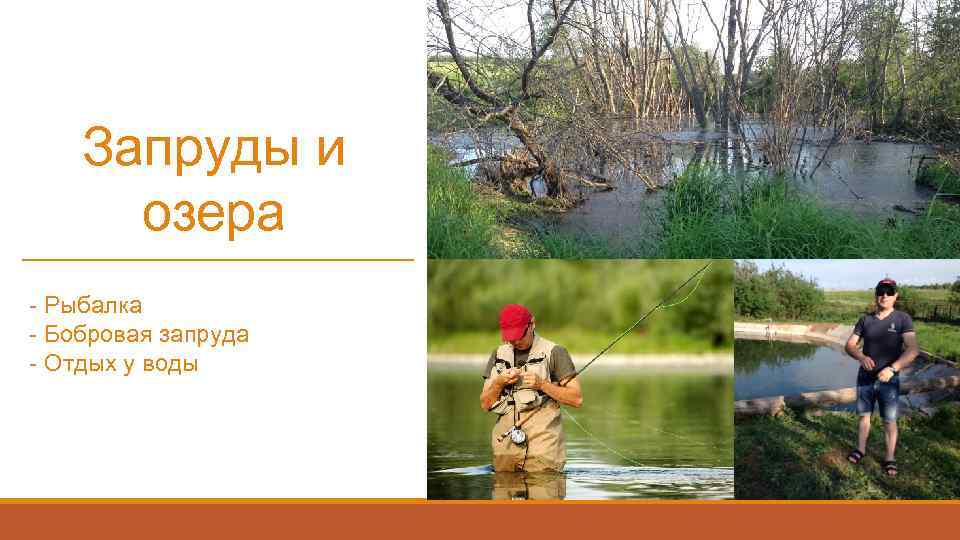 Запруды и озера - Рыбалка - Бобровая запруда - Отдых у воды 