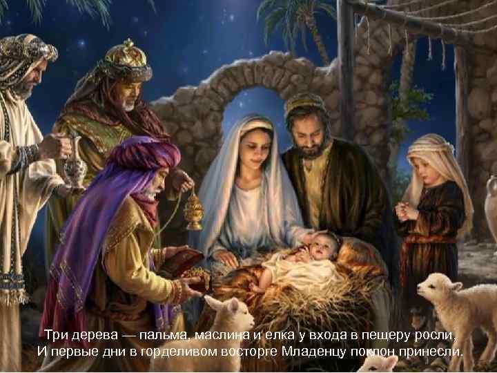 Три дерева — пальма, маслина и елка у входа в пещеру росли, И первые