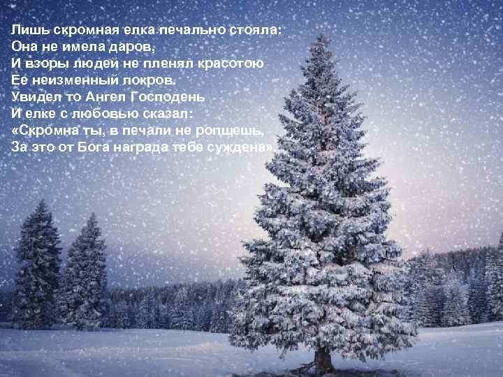 Лишь скромная елка печально стояла: Она не имела даров, И взоры людей не пленял