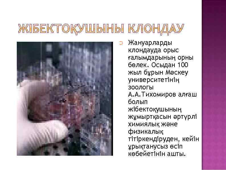 ➲ Жануарларды клондауда орыс ғалымдарының орны бөлек. Осыдан 100 жыл бұрын Мәскеу университетінің зоологы