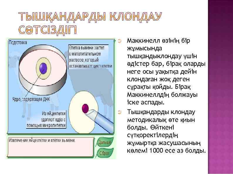 ➲ Маккинелл өзінің бір жұмысында тышқандыклондау үшін әдістер бар, бірақ оларды неге осы уақытқа