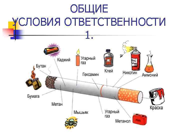 ОБЩИЕ УСЛОВИЯ ОТВЕТСТВЕННОСТИ 1. 