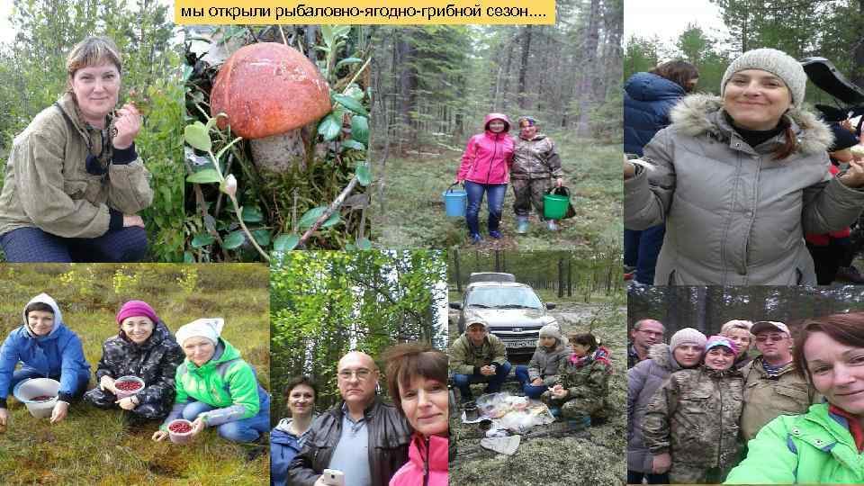 мы открыли рыбаловно-ягодно-грибной сезон. . 