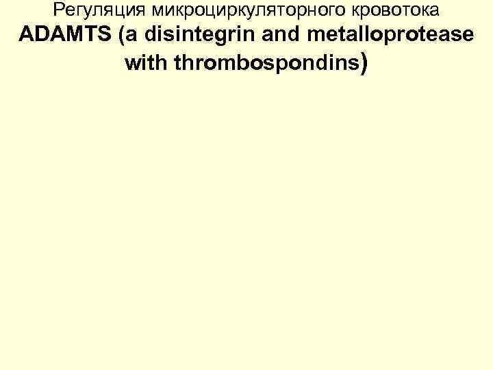 Регуляция микроциркуляторного кровотока ADAMTS (a disintegrin and metalloprotease with thrombospondins) 
