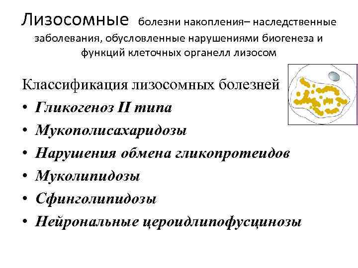 Лизосомные болезни накопления– наследственные заболевания, обусловленные нарушениями биогенеза и функций клеточных органелл лизосом Классификация
