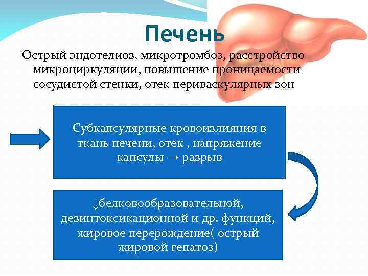 Проницаемость сосудистой стенки при преэклампсии тест