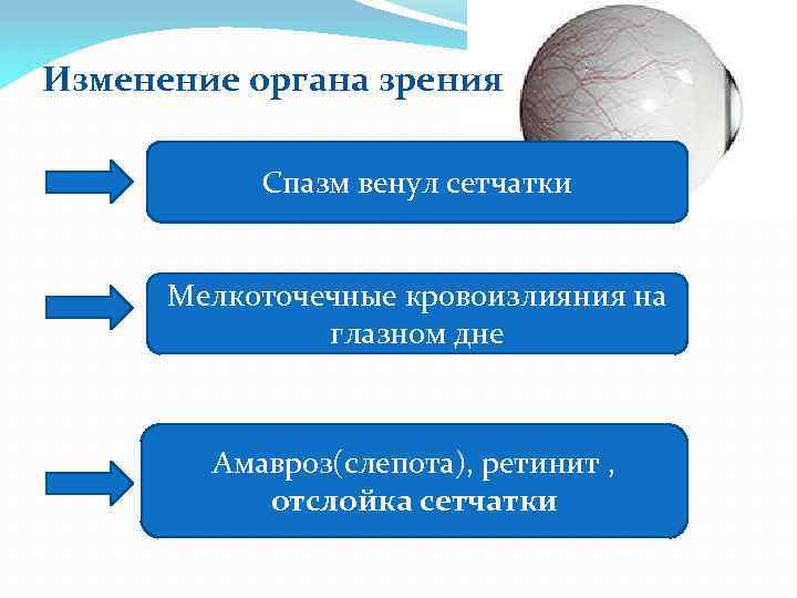Изменение органа зрения Спазм венул сетчатки Мелкоточечные кровоизлияния на глазном дне Амавроз(слепота), ретинит ,
