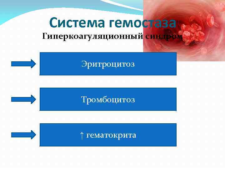 Система гемостаза Гиперкоагуляционный синдром Эритроцитоз Тромбоцитоз ↑ гематокрита 