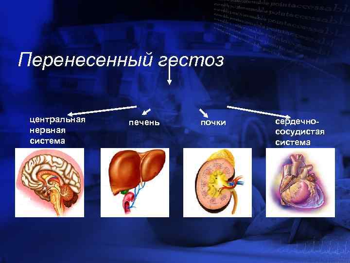 Перенесенный гестоз центральная нервная система зг печень почки сердечнососудистая система 