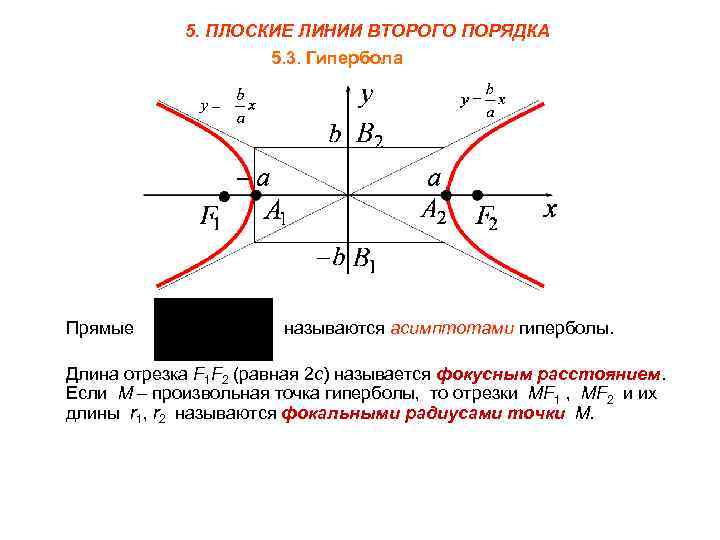 Кривые гипербола