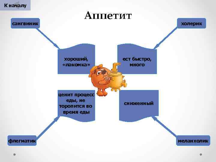 К началу сангвиник Аппетит хороший, «лакомка» ценит процесс еды, не торопится во время еды