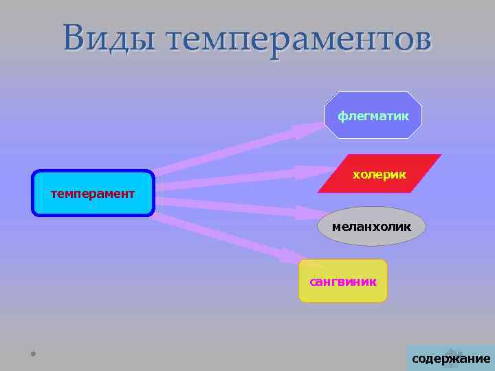 Виды темпераментов флегматик холерик темперамент меланхолик сангвиник содержание 