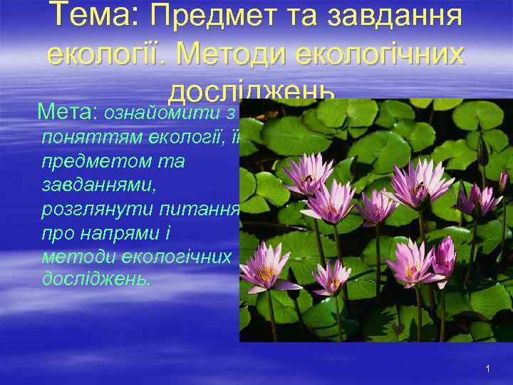 Тема: Предмет та завдання екології. Методи екологічних досліджень. Мета: ознайомити з поняттям екології, її