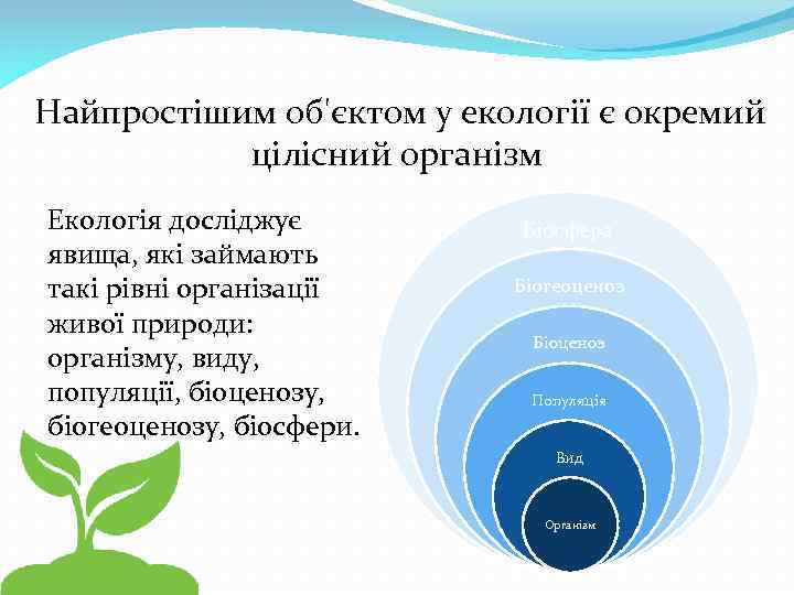 Найпростішим об'єктом у екології є окремий цілісний організм Екологія досліджує явища, які займають такі