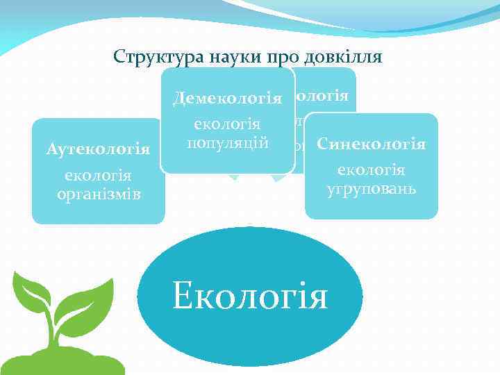 Структура науки про довкілля Аутекологія організмів Біосферологія Демекологія глобальна екологія популяцій Синекологія угруповань Екологія