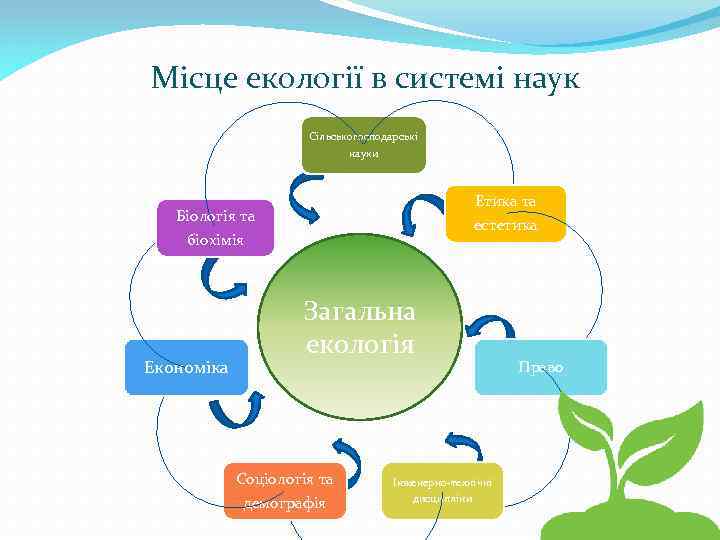 Місце екології в системі наук Сільськогосподарські науки Етика та естетика Біологія та біохімія Економіка