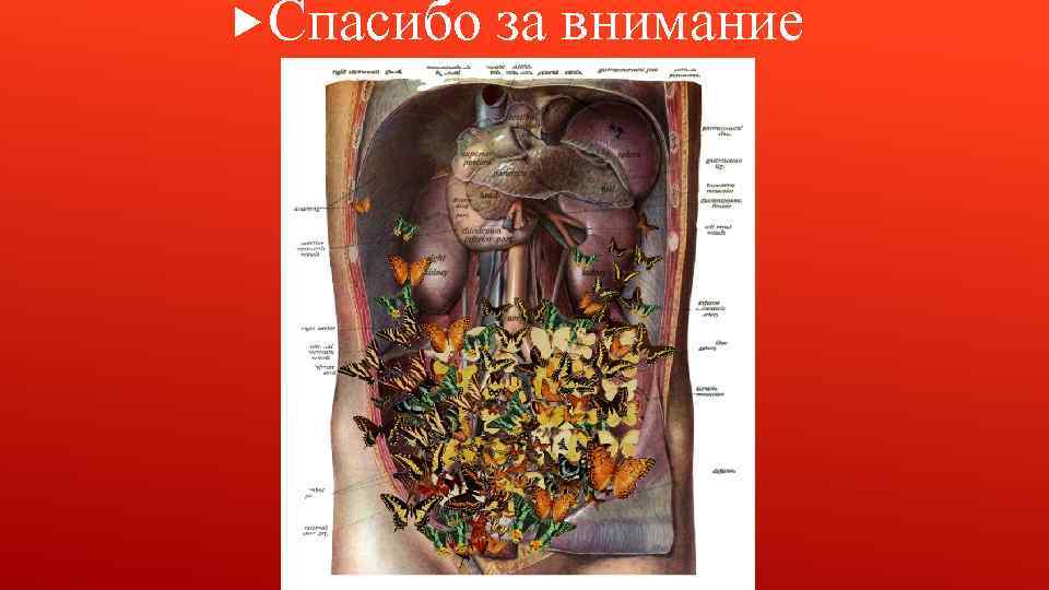  Спасибо за внимание 