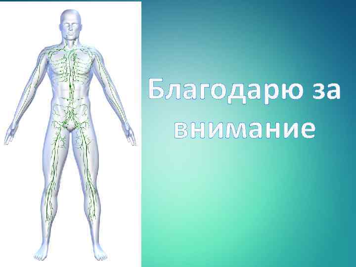 Благодарю за внимание 