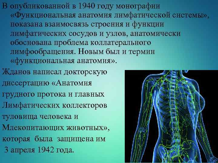 В опубликованной в 1940 году монографии «Функциональная анатомия лимфатической системы» , показана взаимосвязь строения
