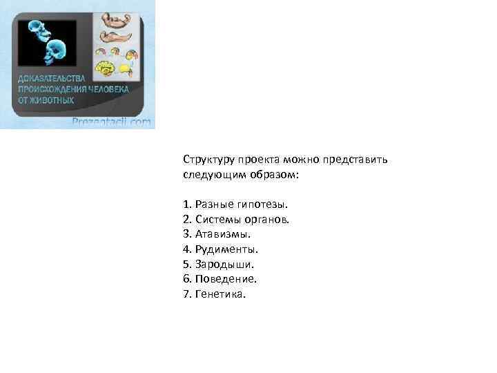 Структуру проекта можно представить следующим образом: 1. Разные гипотезы. 2. Системы органов. 3. Атавизмы.