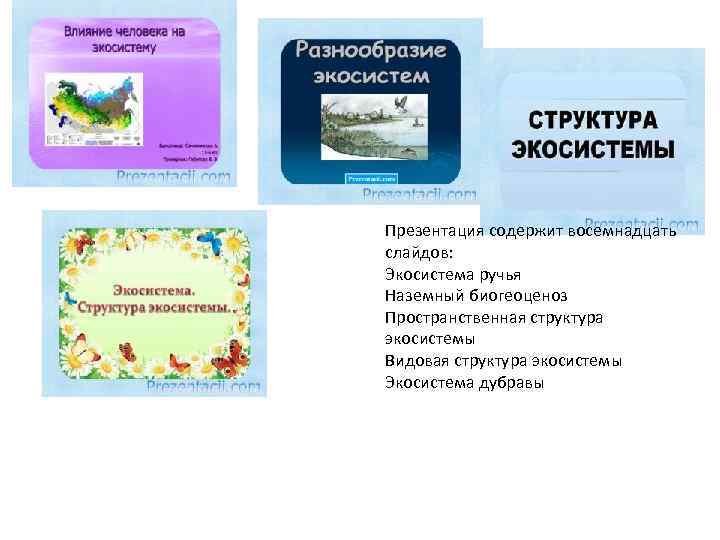 Презентация содержит восемнадцать слайдов: Экосистема ручья Наземный биогеоценоз Пространственная структура экосистемы Видовая структура экосистемы
