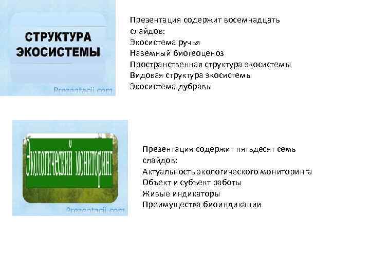 Презентация содержит восемнадцать слайдов: Экосистема ручья Наземный биогеоценоз Пространственная структура экосистемы Видовая структура экосистемы