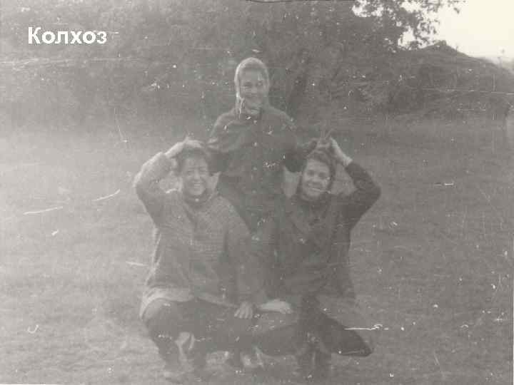 Колхоз 