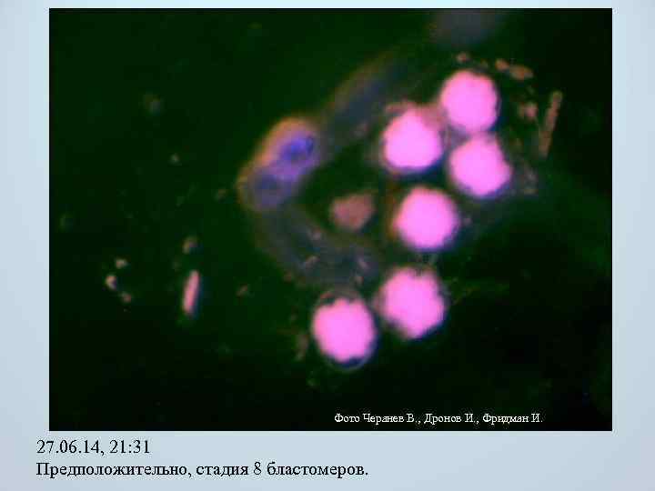 Фото Черанев В. , Дронов И. , Фридман И. 27. 06. 14, 21: 31