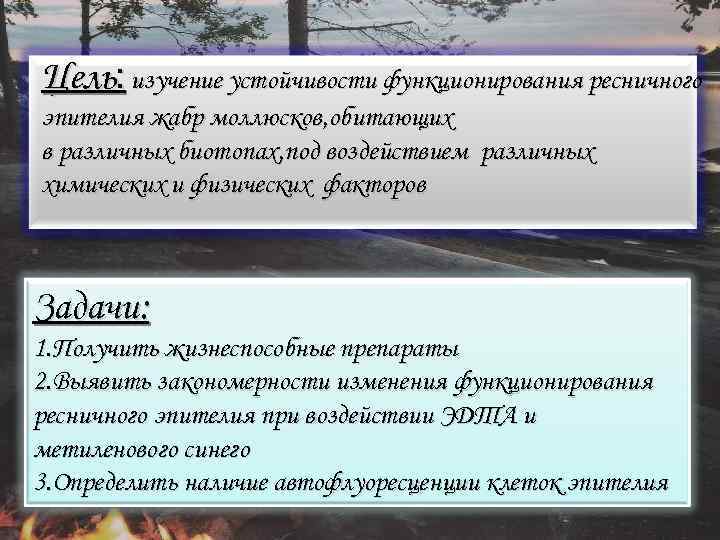 Цель: изучение устойчивости функционирования ресничного эпителия жабр моллюсков, обитающих в различных биотопах, под воздействием