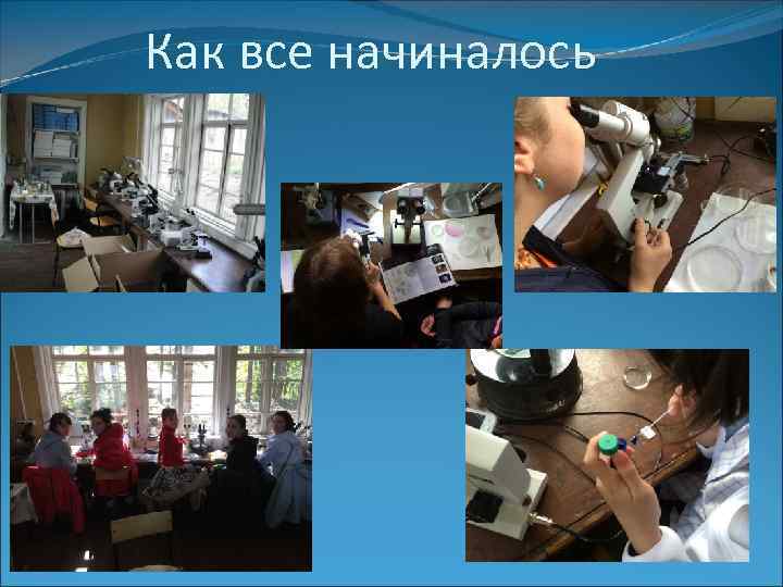 Как все начиналось 