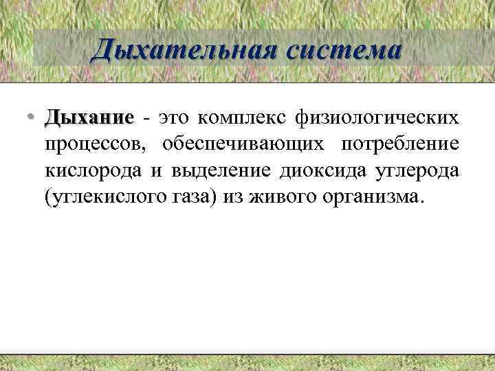Дыхательная система • Дыхание - это комплекс физиологических процессов, обеспечивающих потребление кислорода и выделение