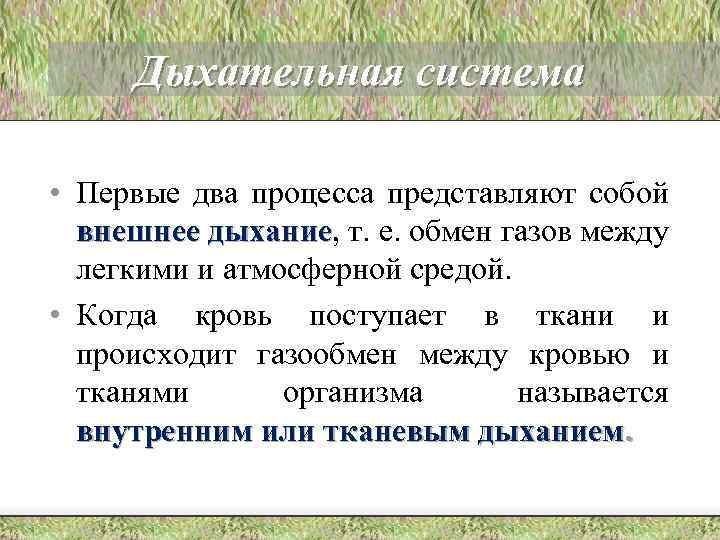 Дыхательная система • Первые два процесса представляют собой внешнее дыхание, т. е. обмен газов