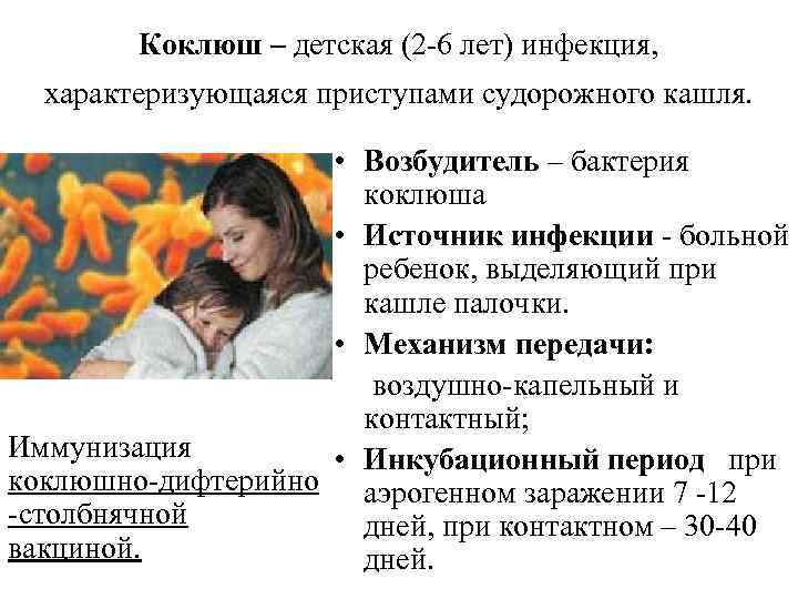 Коклюш – детская (2 -6 лет) инфекция, характеризующаяся приступами судорожного кашля. • Возбудитель –