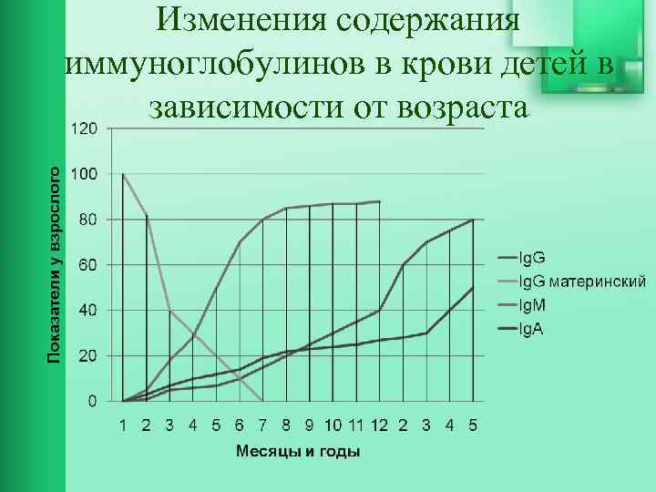 Изменения содержания иммуноглобулинов в крови детей в зависимости от возраста 