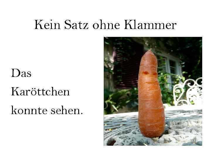 Kein Satz ohne Klammer Das Karöttchen konnte sehen. 