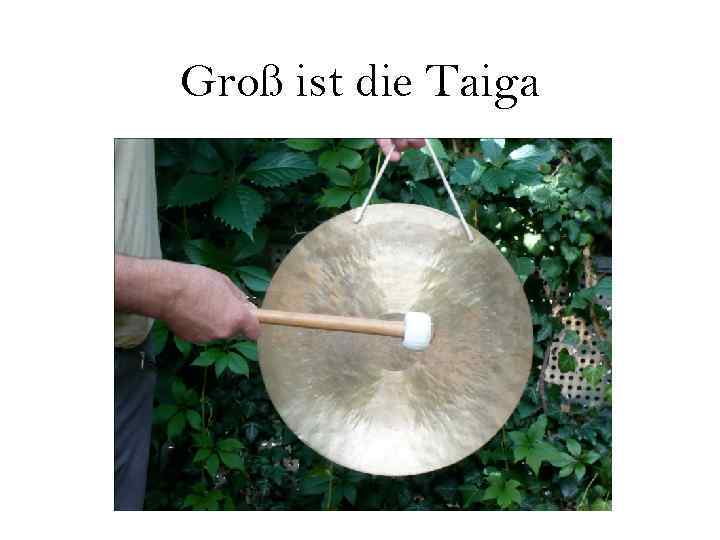 Groß ist die Taiga 