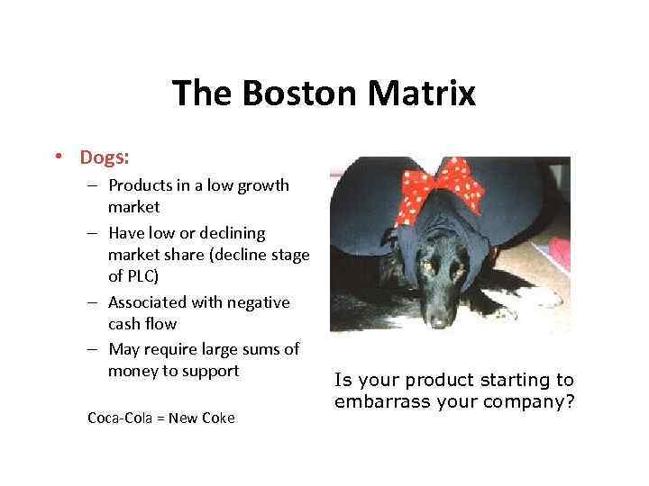 The Boston Matrix • Dogs: – Products in a low growth market – Have