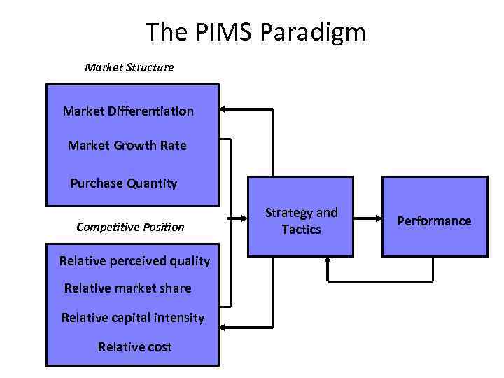 Pims новосибирск