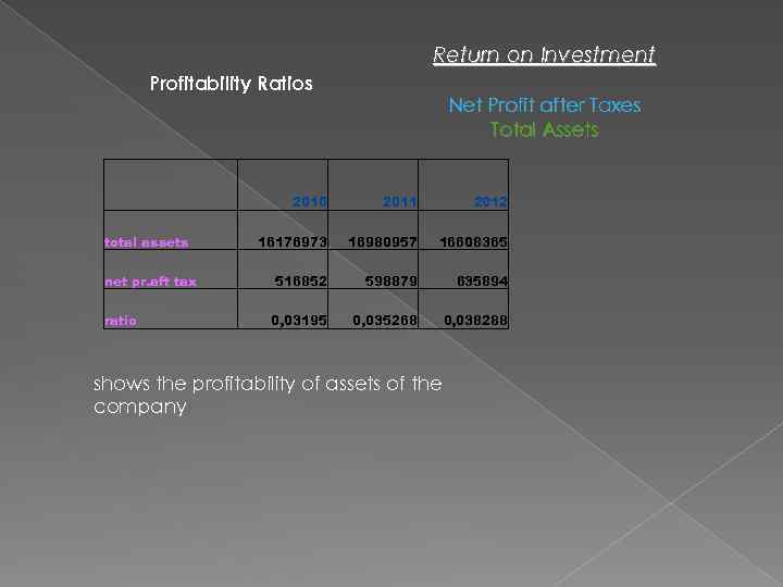 Return on Investment Profitability Ratios total assets net pr. aft tax ratio Net Profit