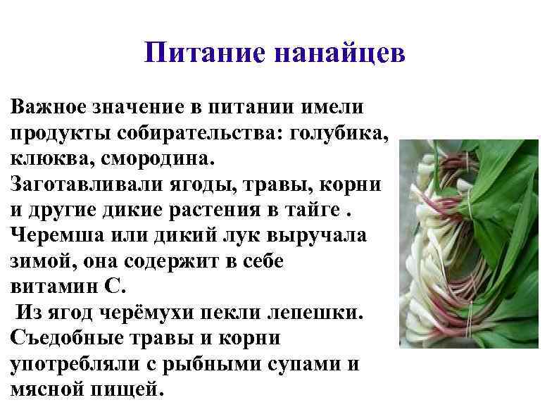 Питание нанайцев Важное значение в питании имели продукты собирательства: голубика, клюква, смородина. Заготавливали ягоды,